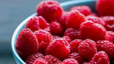 5 foods you need to support your immune system