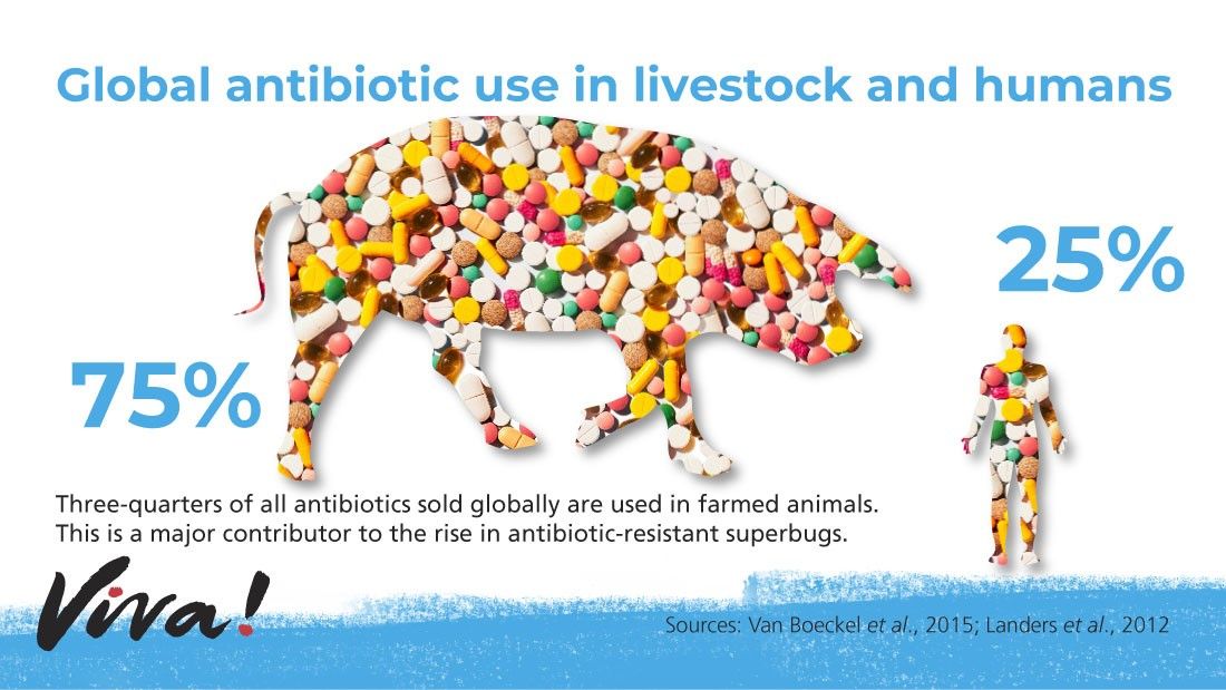 Global use of antibiotics in livestock and humans