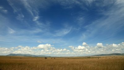 The evolution of a vegan